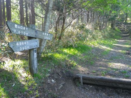 山頂まであと390mのとこまできた。山の100mって意外と長いんだよね