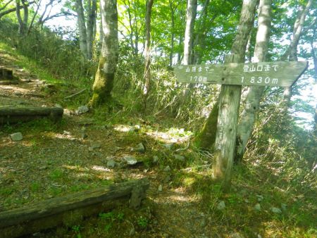 かなり登ってきて山頂まであと170mのところまできた。ここまでくるとあともう少し