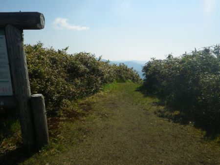 さてと、少し休憩したのでさっさと後山へ向かうことにした。ここからは縦走路になるのでアップダウンが多いのを覚悟しておかないといけない