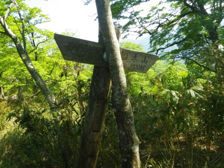 舟木山まであと800mだけど、ここから下らされるので結構登らないといけないと思う。この800mは結構長そう