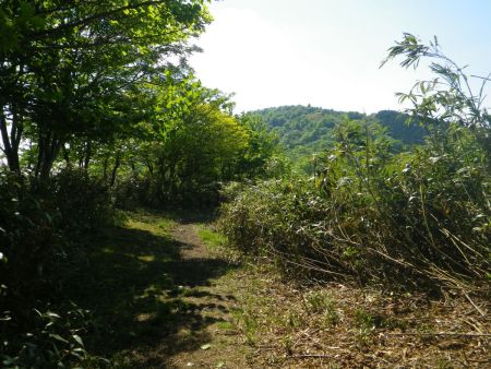 舟木山のピークは見えてるけどなかなか着かない。というよりなだらかな稜線歩きをしてるので標高が稼げてない。後で登らされるんだろうね