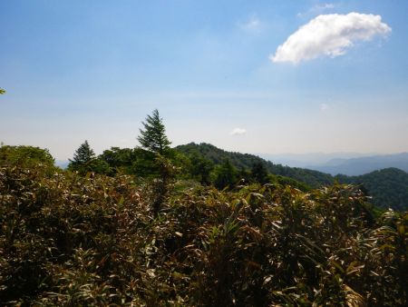 後山のピークはすぐに見えたけど、一旦結構下らされるんだね