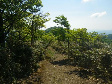 舟木山は休憩するところがないのでさっさと後山の山頂を目指すことにした。それにしても暑さでバテバテなんだけど、がんばるしかなかった