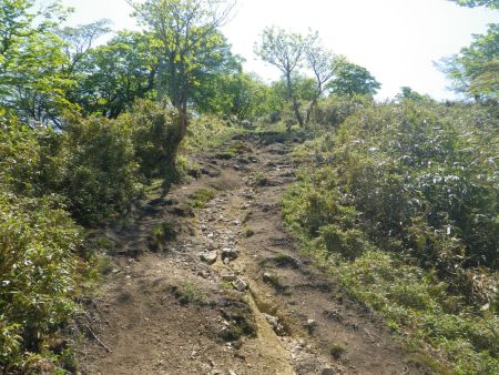 舟木山から結構下って、後山の登りはじめなんだけど、同じ分以上に登らないといけないのね。しかもピストンだからさっき下ってきたのを登らないといけないのね