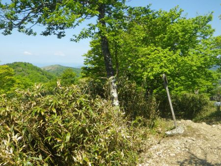 さて、日陰で十分に休憩したので左手前に見えてる舟木山と奥に見えてる駒の尾山へ戻っていくことにした