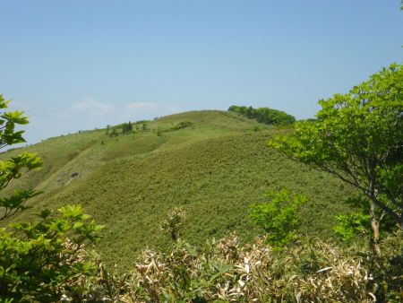 駒の尾山への登り返し。ここがピーカンで無風なので暑さで登りがバテバテになってしまった。駒の尾山の登りがかなりキツかった