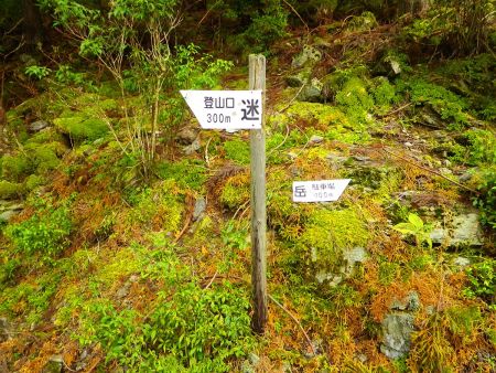 登山口まで300mと記載されているけど、実際はもっと距離あったんよね