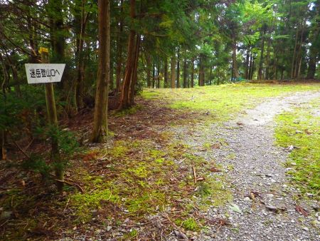 林道をひたすら歩いていくが、こんなことなら車でこの付近まで乗ってくればよかった