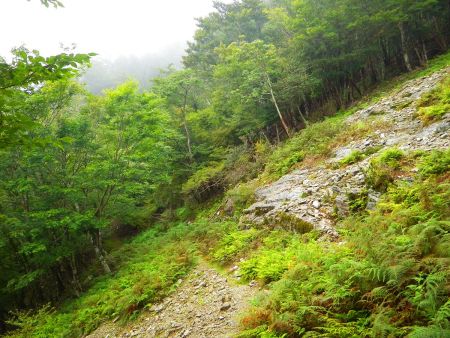 つづら折れの登山道が終わるとなだらかな道になってちょっと開けた場所に出る。この先でいよいよ稜線にあがっていく