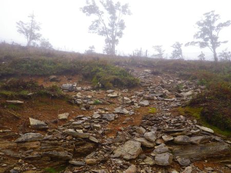 稜線の直下はちょっと急登のガレ場になっていて登りにくい。下山時は滑りやすいので注意が必要
