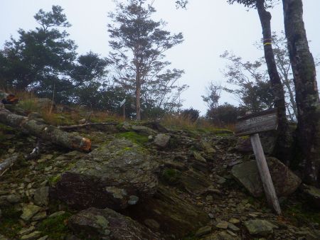 稜線、つまり尾根取り付きまで登ってきた。ここからは完全にガスっている