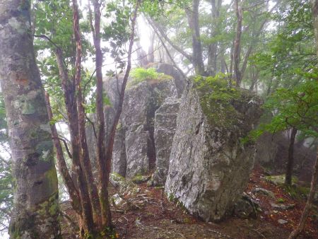 変わった岩があったので撮影しておいたけど、この岩の上が見晴岩らしくて裏側に看板があった。展望があるらしいけどガスってるのでスルーした