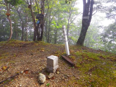 念願の迷岳(1309.1m)に到着。山頂は三角点と複数の山頂看板やプレートが木にかかっていた