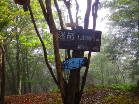 この山頂看板が一番大きいんだけど、木にはさんでる感じでいつの日か落ちそうな感じがする
