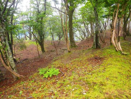 さて、帰りにラーメン屋にも行きたいのでさっさと下山することにした