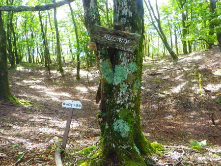 登りの時に気づかなかった桃の木平の看板を撮影しておいた。桃の木があるというわけではなさそうだけどね