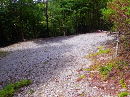 迷岳登山口まで下ってきた。あとは林道を歩いて駐車ポイントまで戻るだけになった