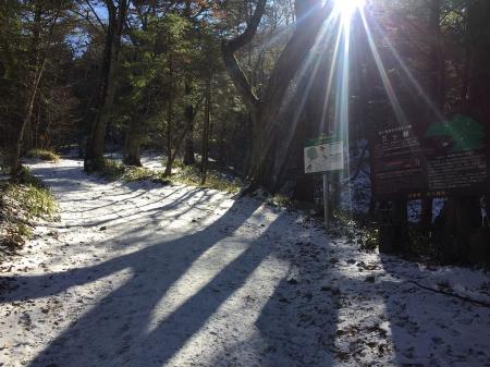 ここから登っていきます