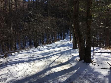 ここで一旦平坦になるので休憩