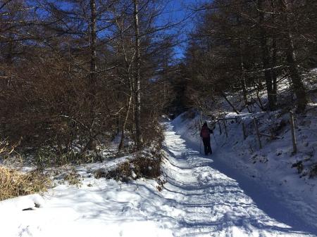 トレースはしっかりある