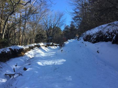 それにしても天気が良い