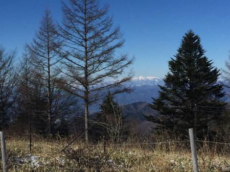 南アルプスの山々が見えた