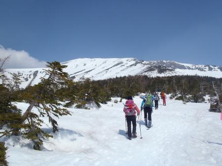 樹林帯に入っていく