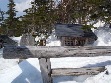 樹林帯の中にある大江権現