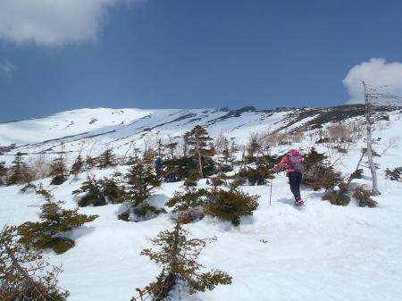 そろそろ森林限界