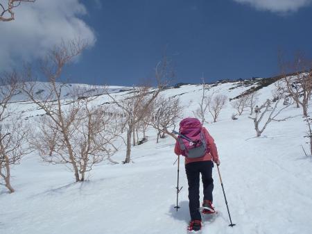 ここから急登になってくる