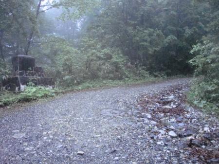 猿倉から登山道に出て長い林道が続く