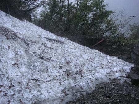 長い林道が終わり登山道に入るともはや雪道になる