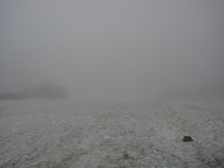 ひたすらこんな道を進むが景色が変わらないので心折れそうだった