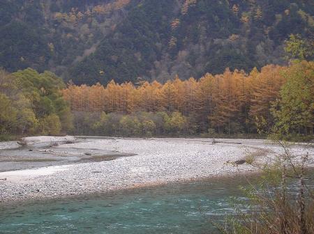 オレンジ色になった樹林、紅葉シーズンだともっと赤くなるのかも