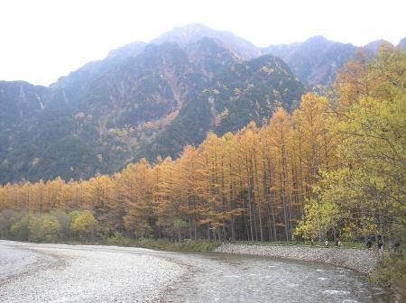 秋を感じる景色はバッチリな感じ。大正池から歩いて本当によかった