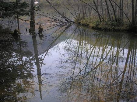 ここがなんか神秘的な感じがした