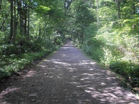 参道をまたピストンして戻る。結構長いけど自然の中で軽い運動になっていいし、道もなだらか