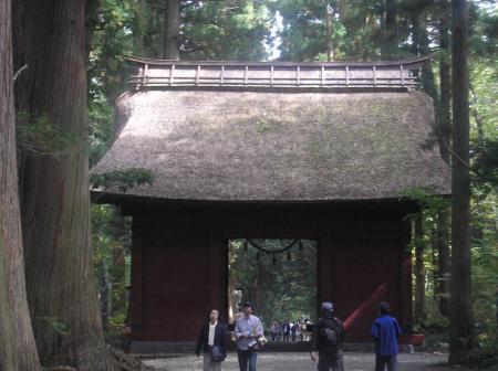 戸隠神社の途中の門を抜けると奥社参道並木といわれるところにでる