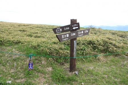 王ヶ頭から少し下ってきたところ。あと0.7km