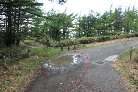 電波塔は右だが王ヶ鼻はこれを左