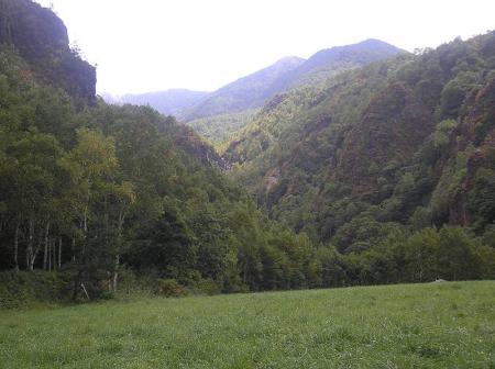 こっち側は四阿山方面かな！？ここから登る人もいるとかいないとか