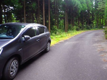 尾根登山口の手前にある広い路肩に駐車してスタート