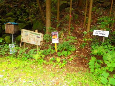 桐原尾根登山口。ここから入山する