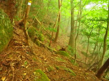 やっぱりトラバースルートになっていた。これは有難いけど巻くのに距離は結構あるんだよね