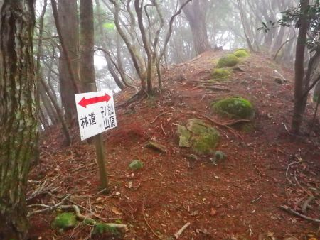 再び尾根道になって子ノ泊山山頂方面へ進んでいく