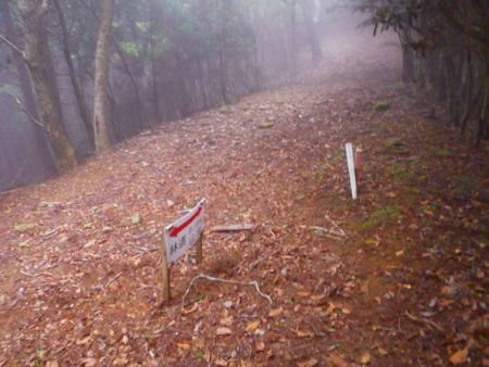 一旦下って林道と合流した。このまま直進して林道を歩いていく