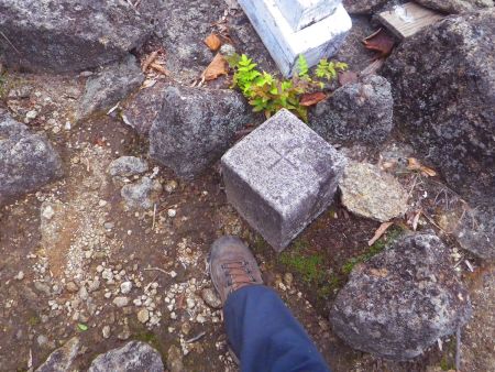 子ノ泊山の山頂三角点を撮影しておく