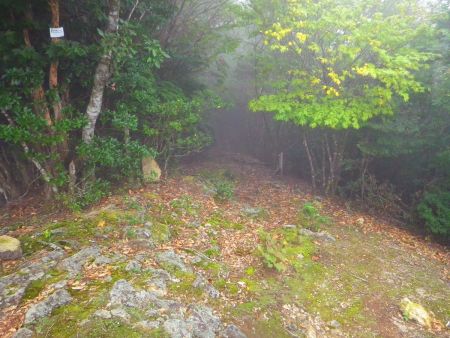 さて、山頂でゆっくりしたので下山を開始する。明るいうちに下りたい