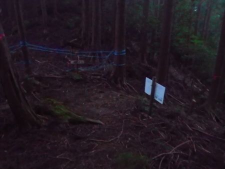 尾根取り付きまで下ってきた。この付近は既に暗いけどヘッドライトがいるほどでもない