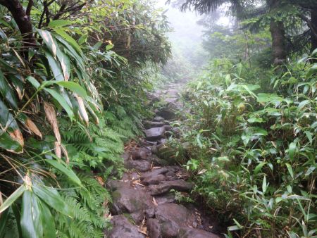 このガレた道は濡れていて滑りやすいので下山時は注意だと思いながら登った